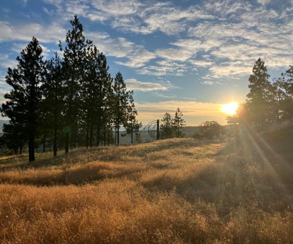 Twin Meadows during a summer sunrise
