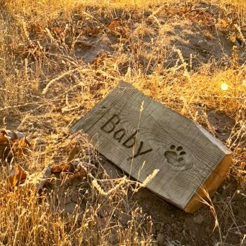 salvaged log headstone for pet named Baby at Paws in Peace pet cemetery at Great River Natural Burial Ground