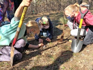 children planting tree seedlings