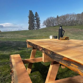 handcrafted live edge wood picnic table with view at Great River