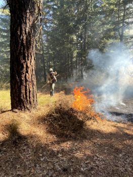 Great River volunteers fighting the 2020 wildfire