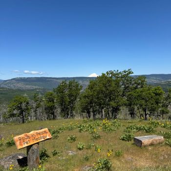 Paws in Peace Pet Meadow with bench and 360 views