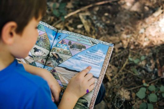 young boy reads nature picture book