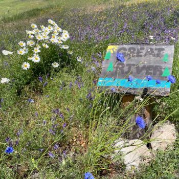 Great River hand painted sign with wildflowers