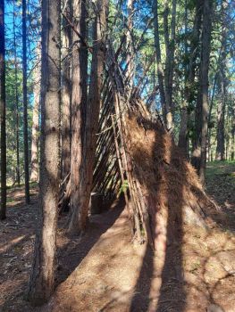 Fort built by day camp kids at Great River