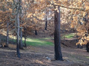 burial area in autumn 2021