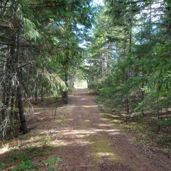 handcrafted live edge wood picnic table with view at Great River