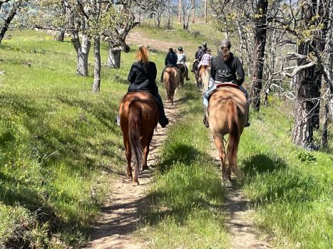 Hood River Saddle Club doing a trail ride on horses