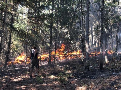 Great River volunteers fighting the 2020 wildfire