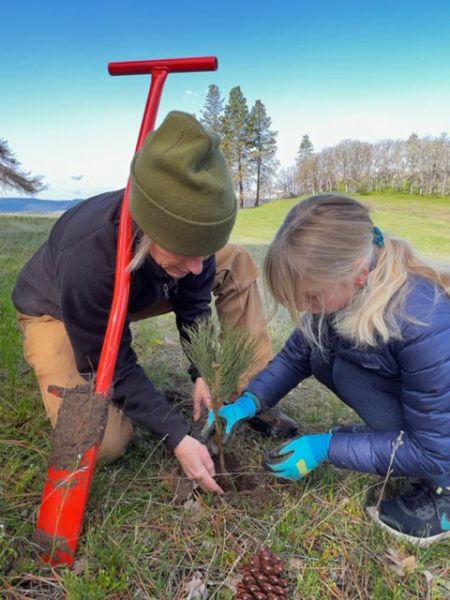 mother and daughter planting memorial tree