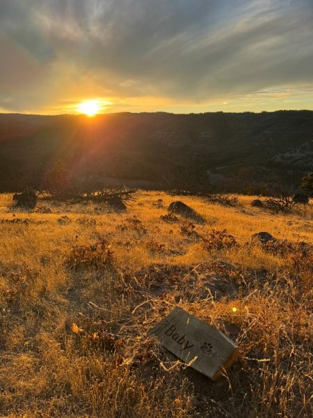 sunset view of hilltop gravesite for beloved pet named Baby